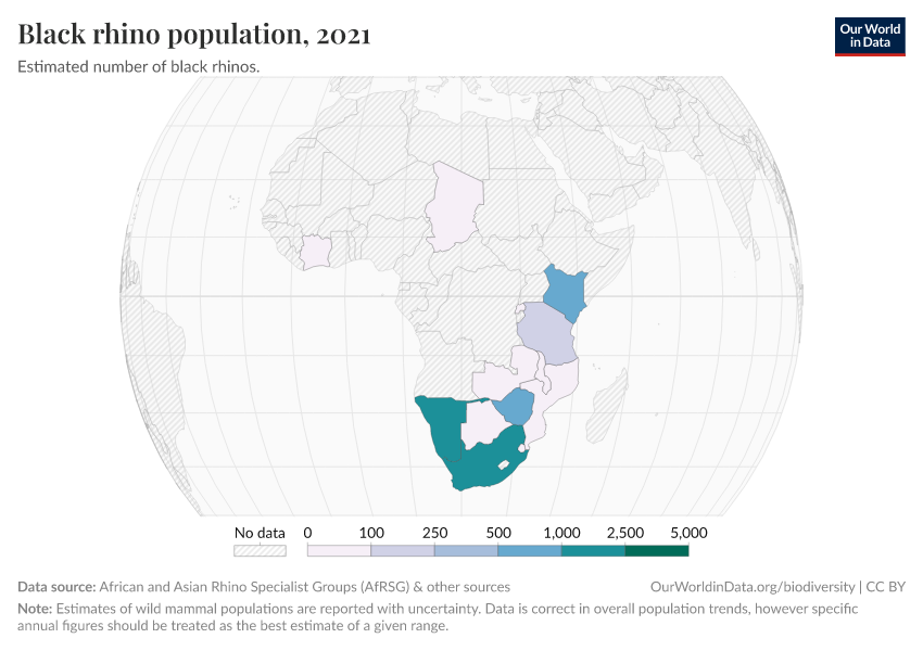 Black rhino population